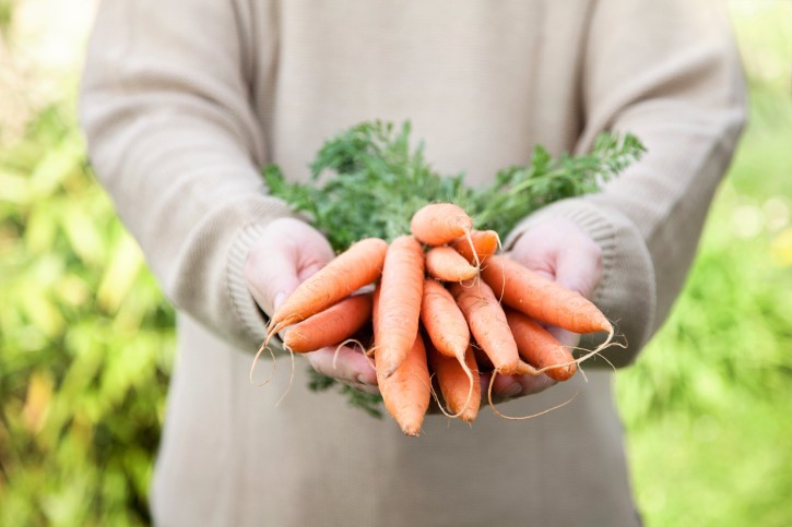 agricoltura biologia