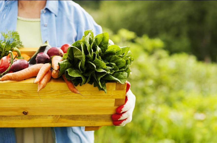 dieta ricca di fibre