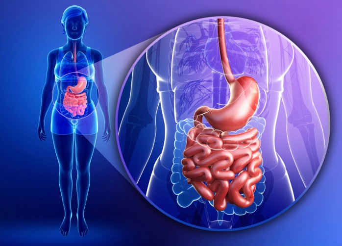 Intestino infiammato sintomi e cause