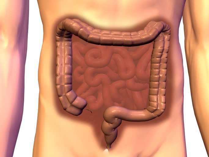 Colon retto terapia