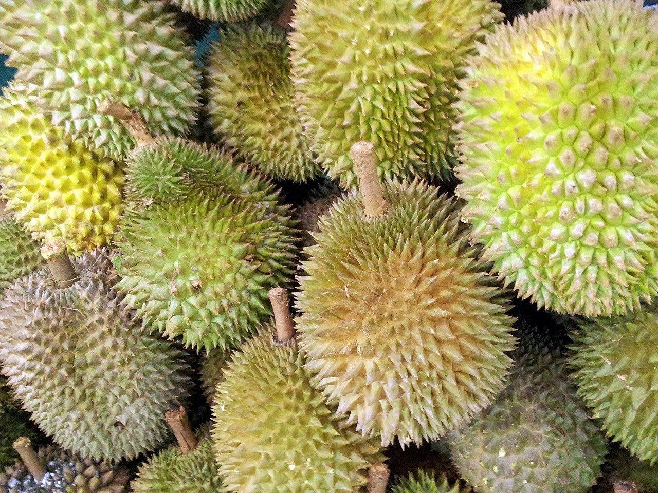 durian proprieta' benefici