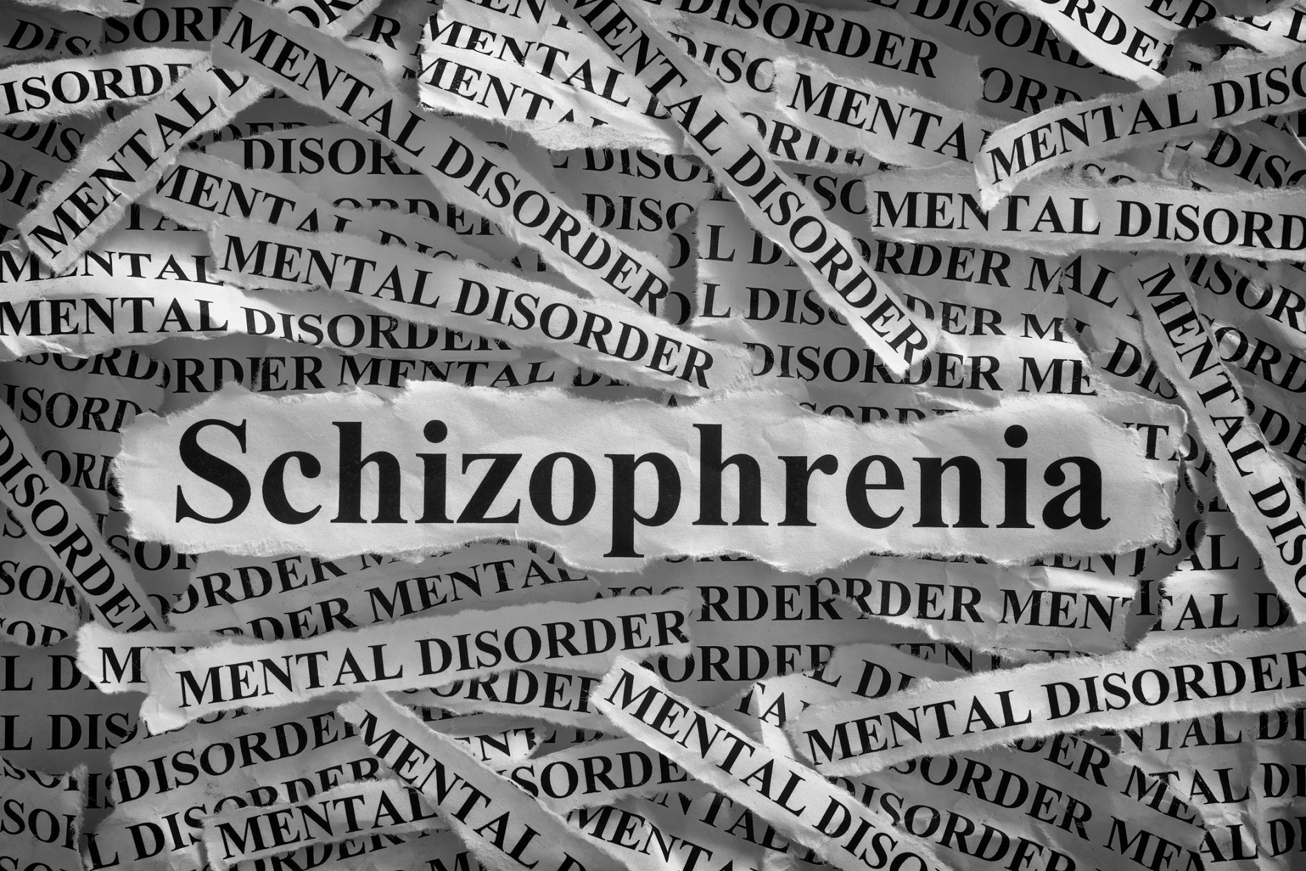 La schizofrenia paranoide