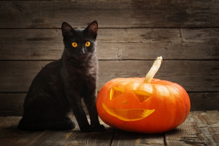 Halloween sarà anche una tradizione acquisita, ma la zucca è da sempre sulle nostre tavole in autunno ed è ricca di vitamina A e betacarotene!