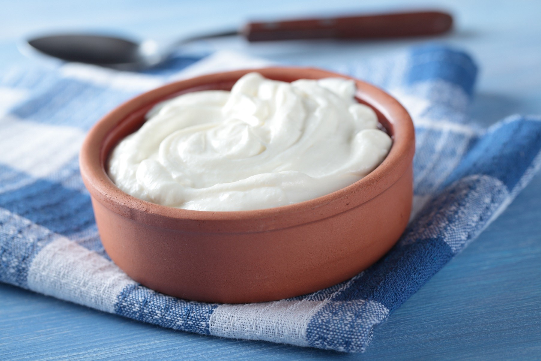 Lo yogurt è un cibo fermentato particolarmente sano