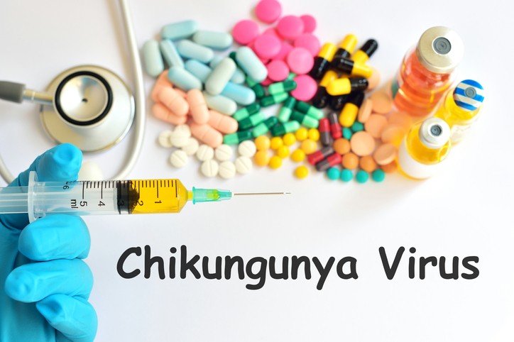 Virus Chikungunya