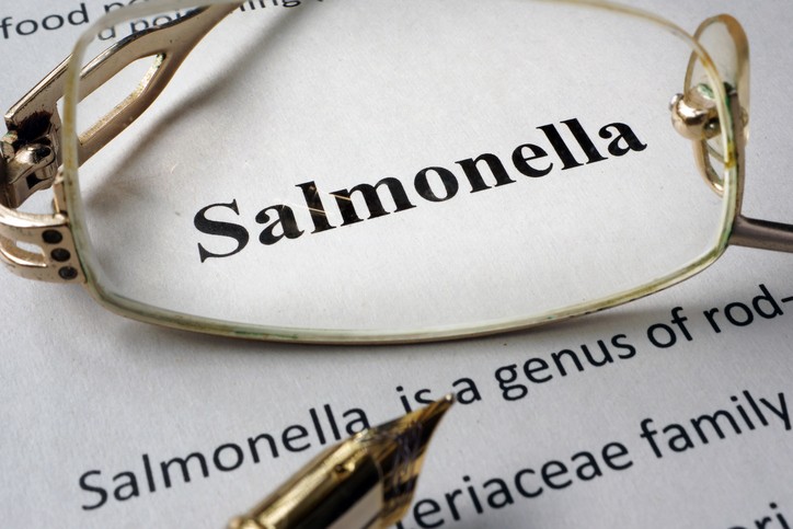 Salmonella