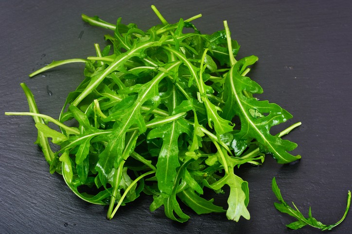 Rucola