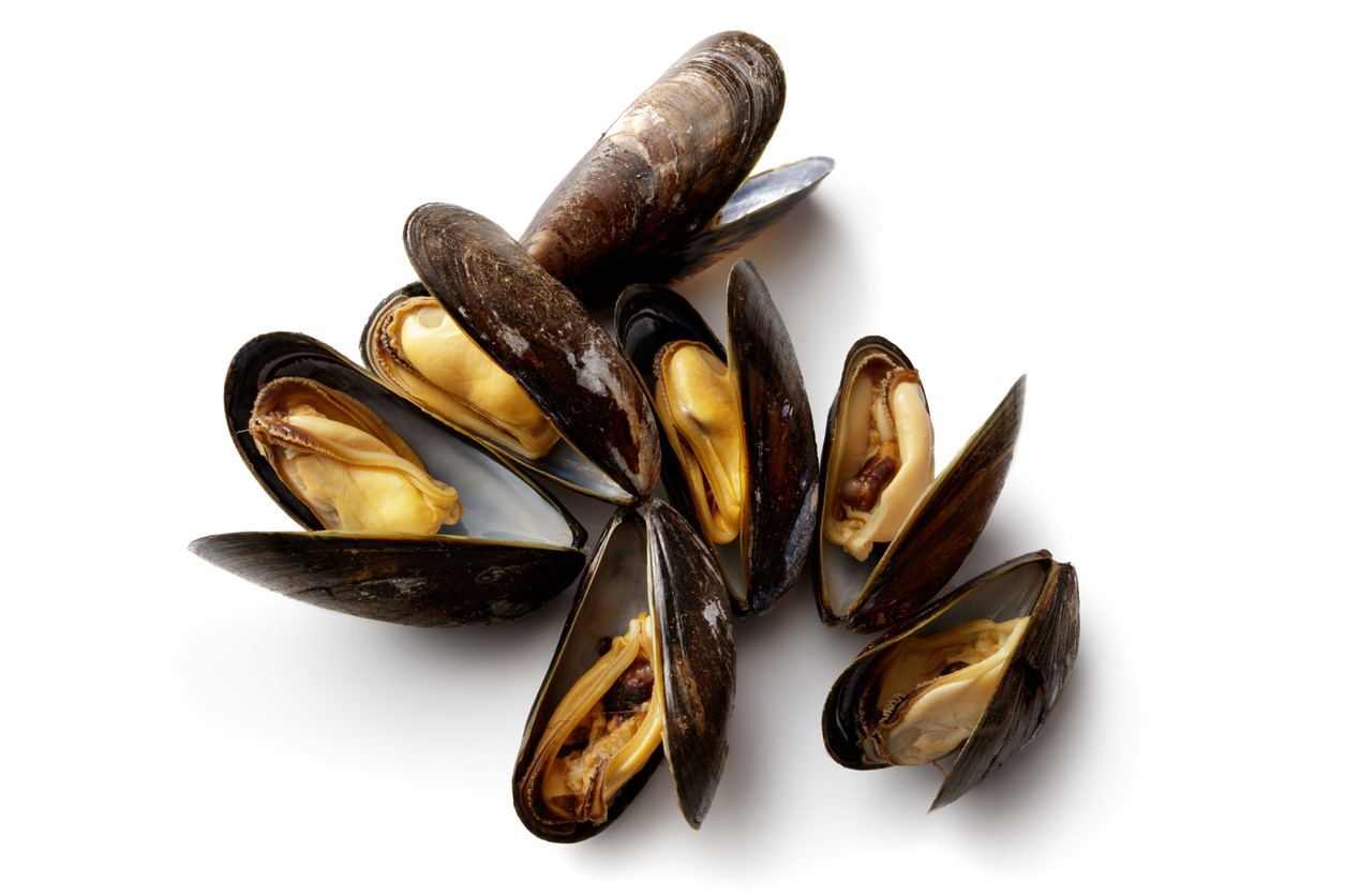 Cozze biotossine