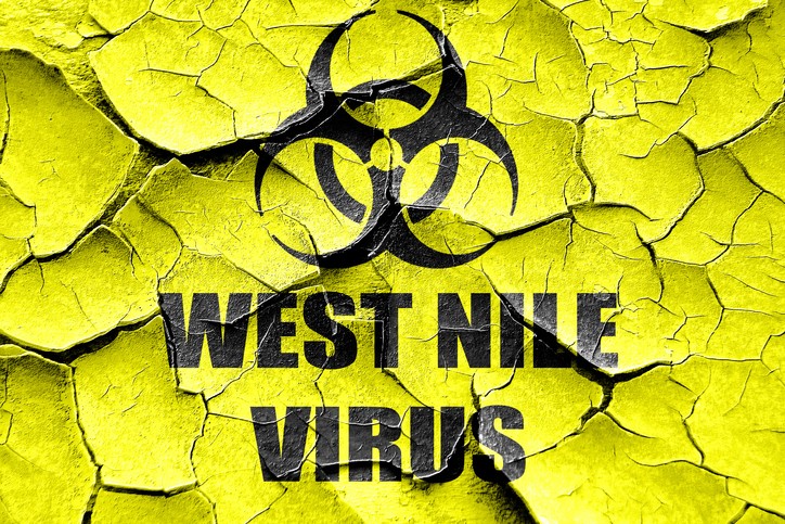 West Nile Virus Italia 2018