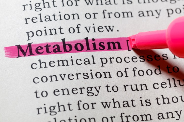 metabolismo