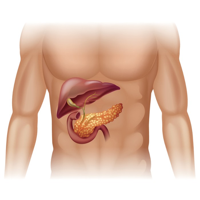 giornata mondiale sul tumore del pancreas