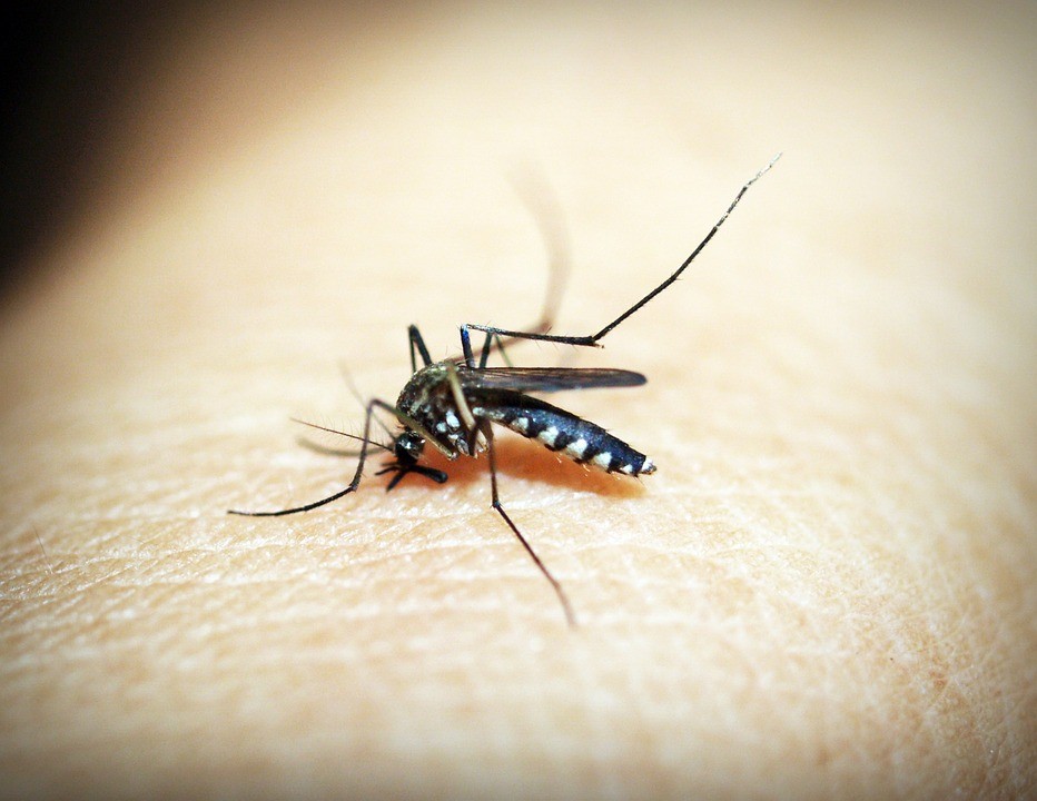 Vaccino per la malaria