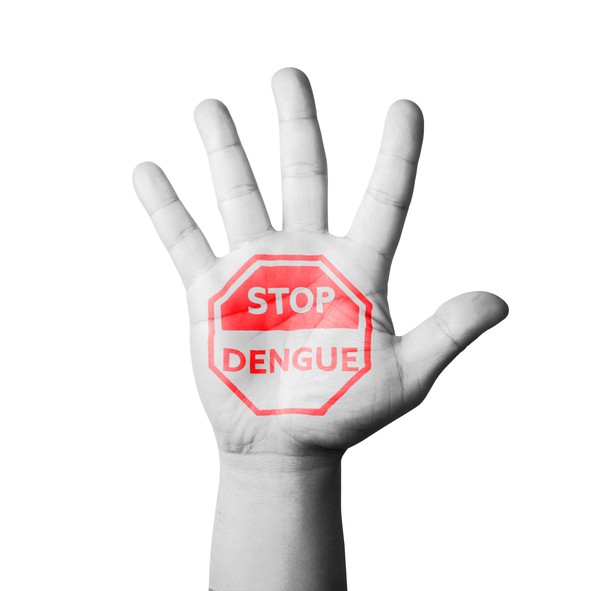 Virus Dengue