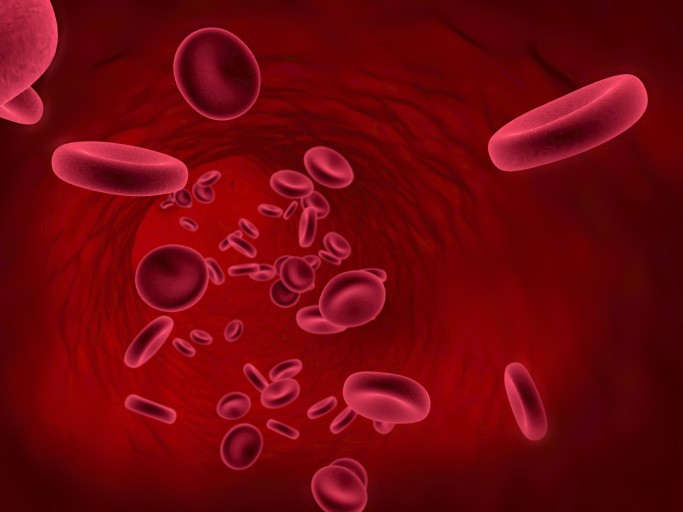 La talassemia è una malattia genetica che provoca l'anemia