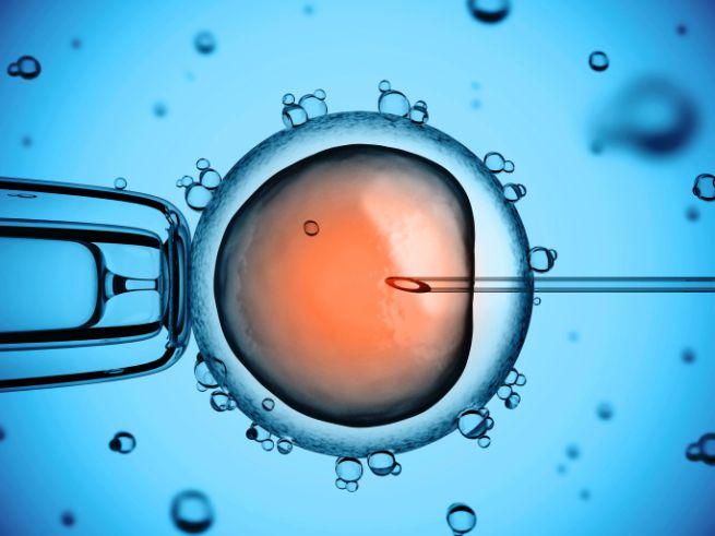 Coronavirus fecondazione assistita