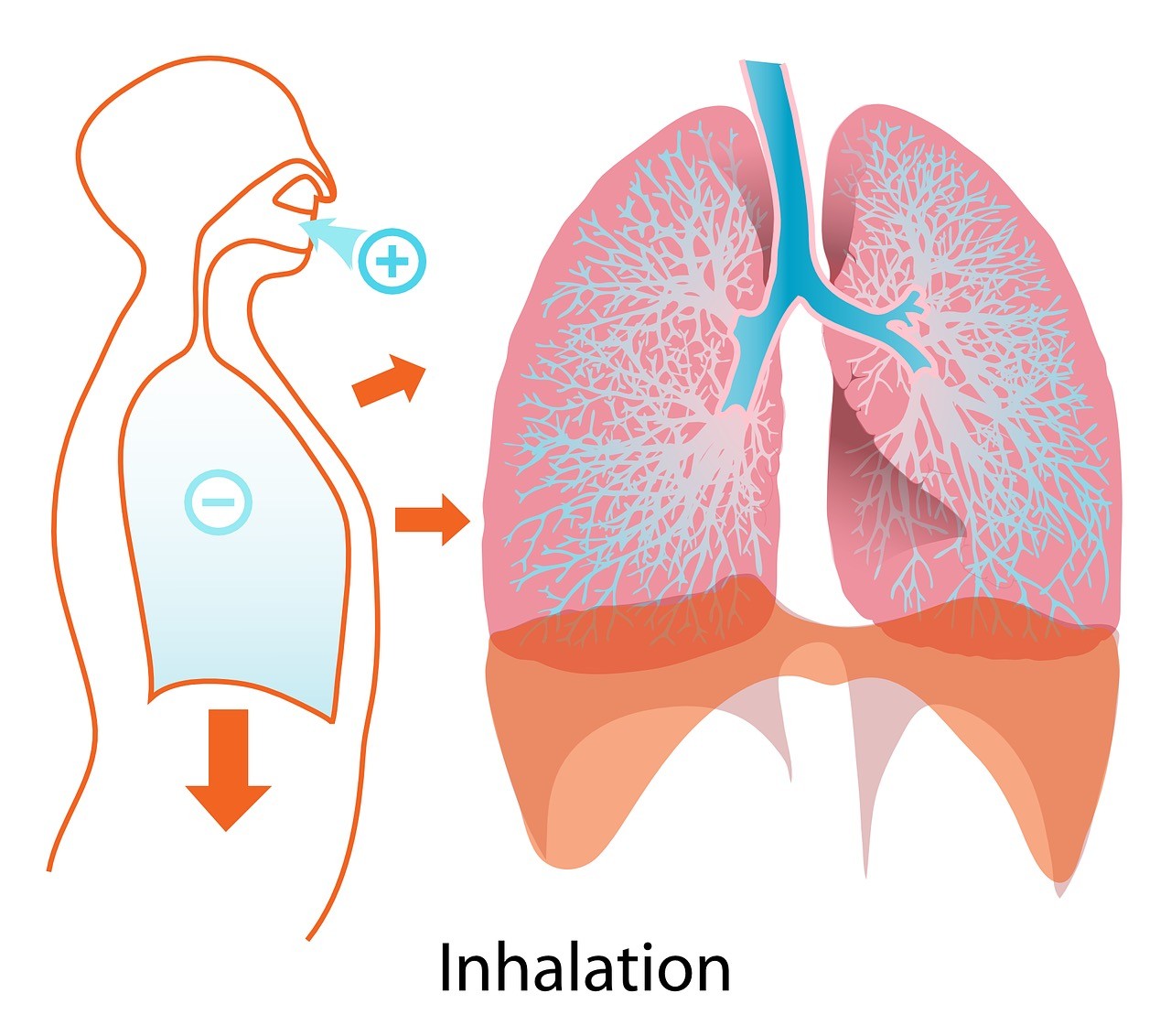 Alcalosi respiratoria anidride