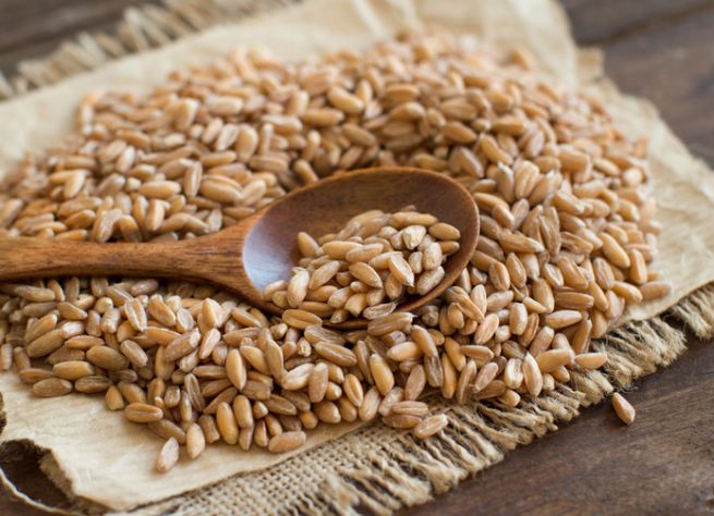 La ricetta dell'insalata di farro con pesto e feta perfetta per l'estate