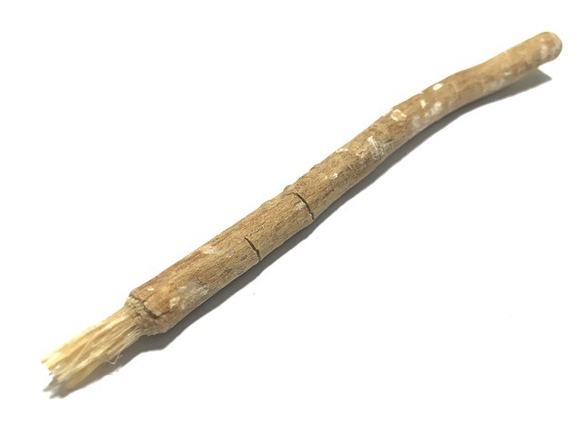 Miswak, cos'è e come si usa al posto dello spazzolino da denti