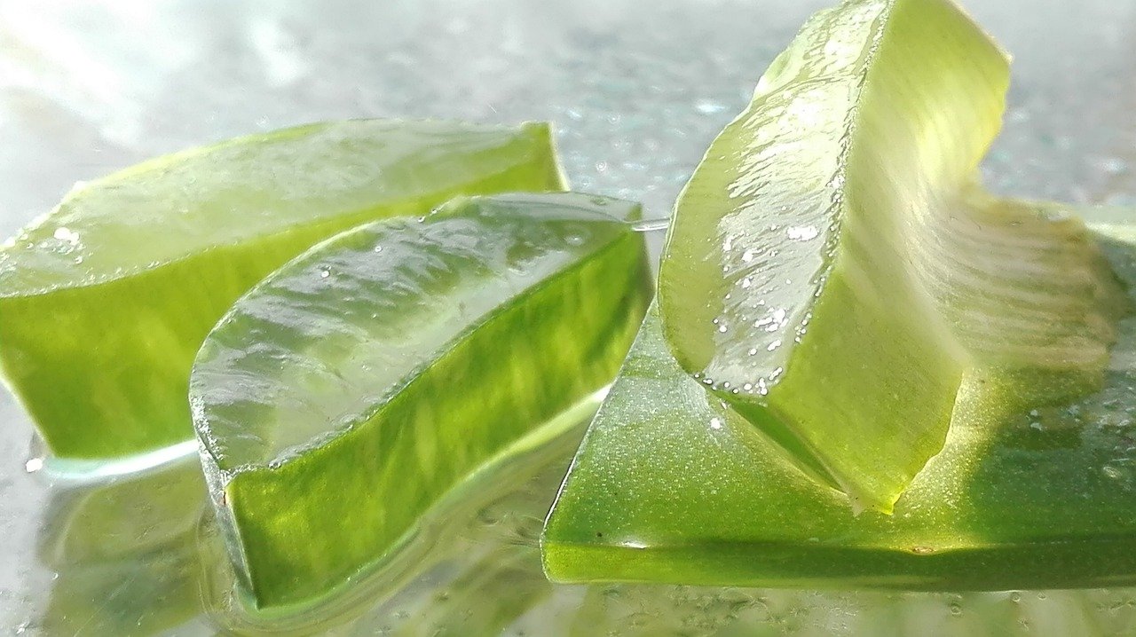 Aloe vera, 20 usi che non ti aspetti