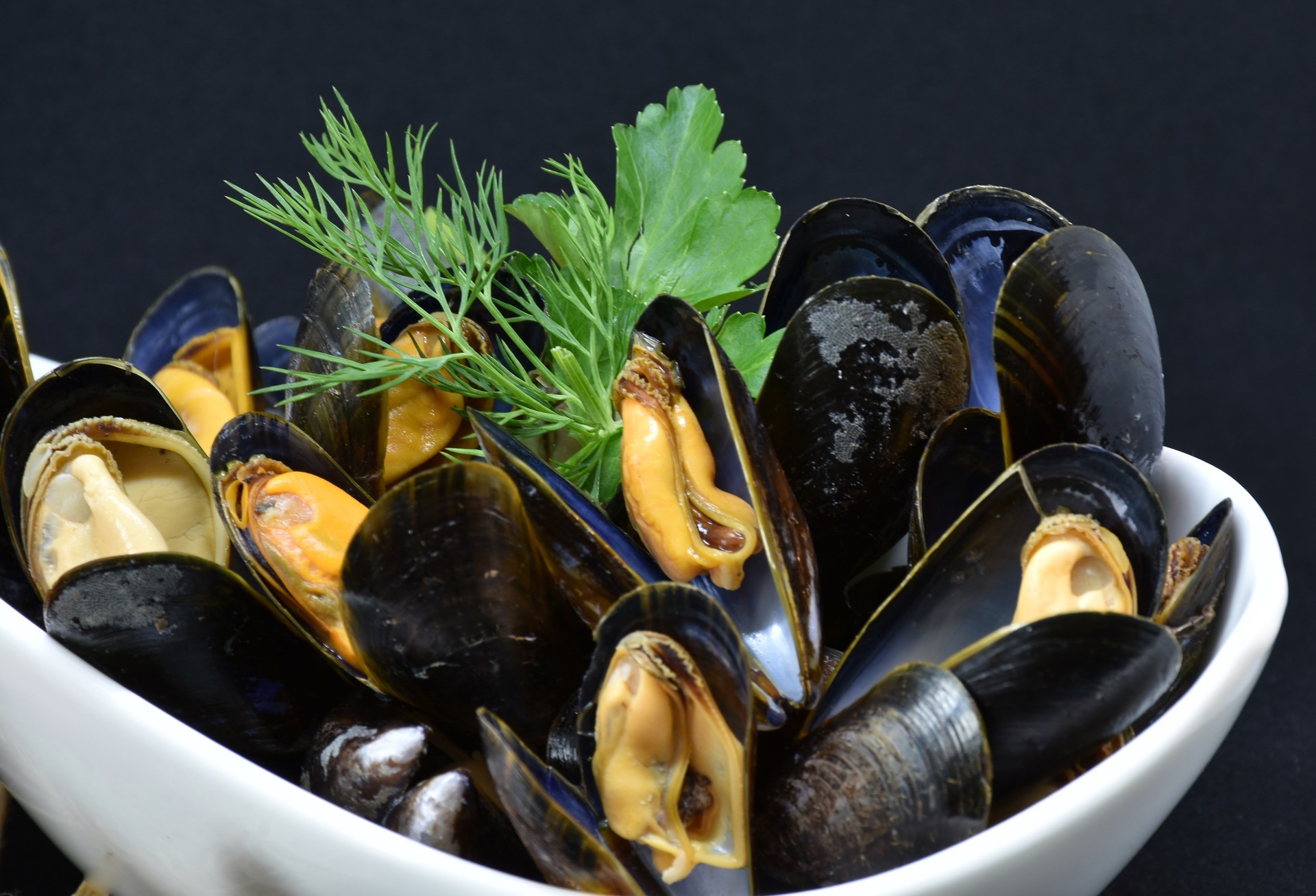 Gastroenterite da cozze