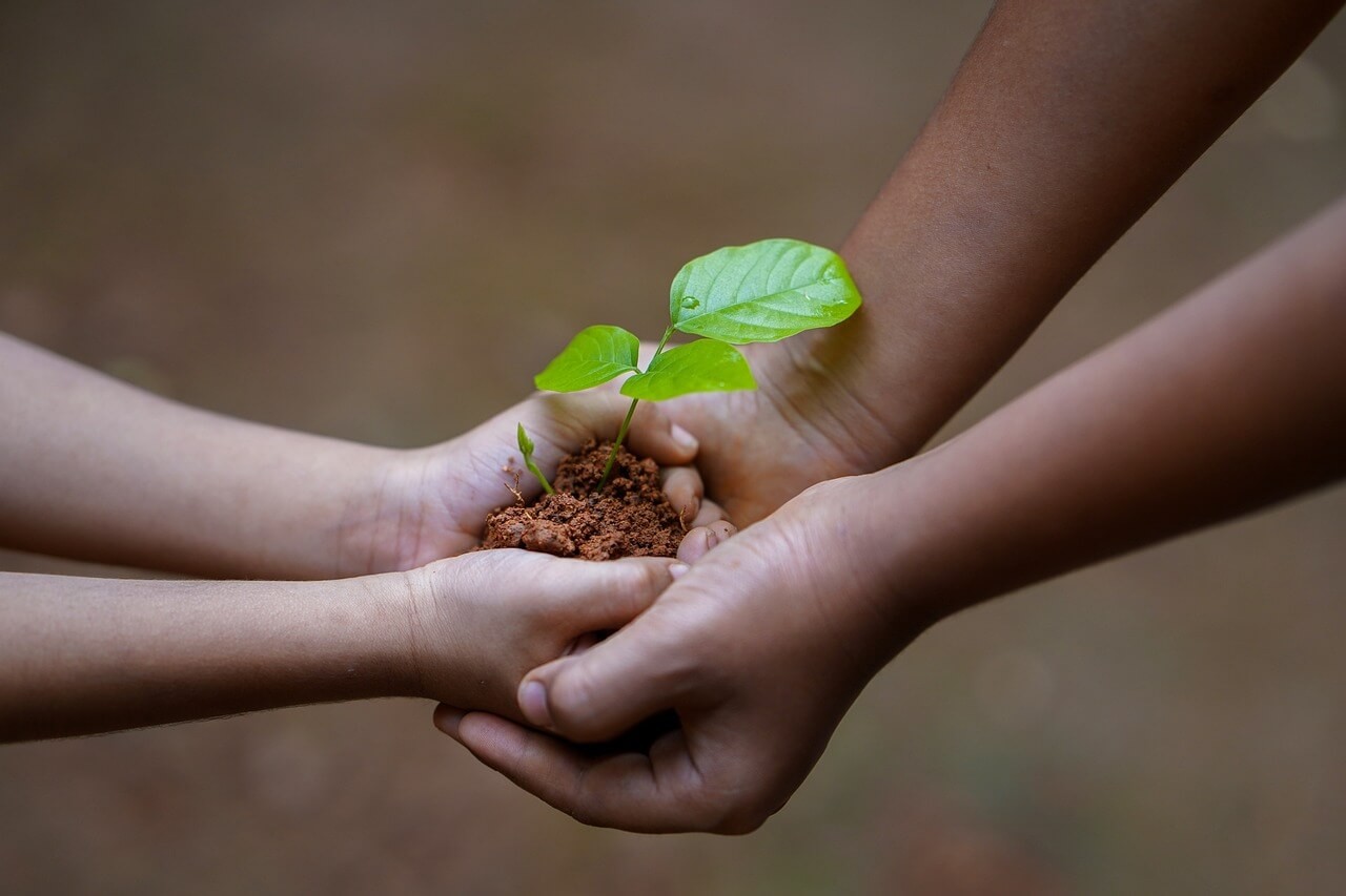 Giornata Mondiale dell’Alimentazione