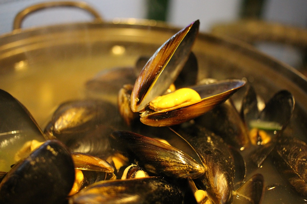 Cozze e vongole in gravidanza